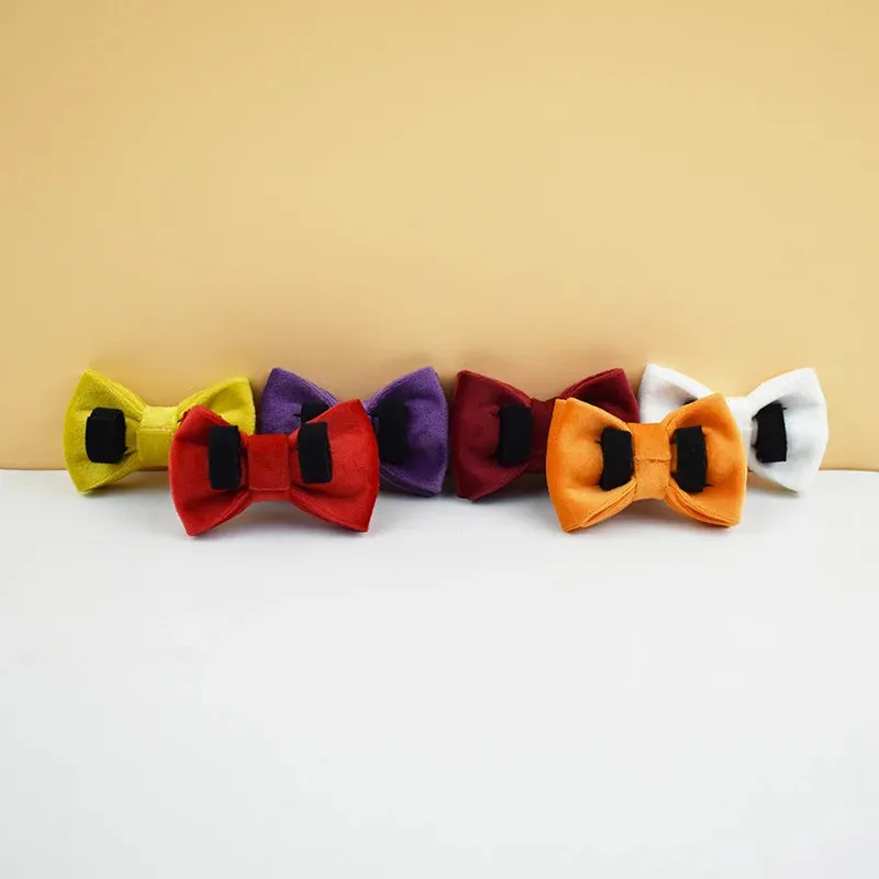 AnyWags Cat Collar Sunset Orange Small with Safety Buckle, Bell, and Durable Strap Stylish and Comfortable Pet Accessory