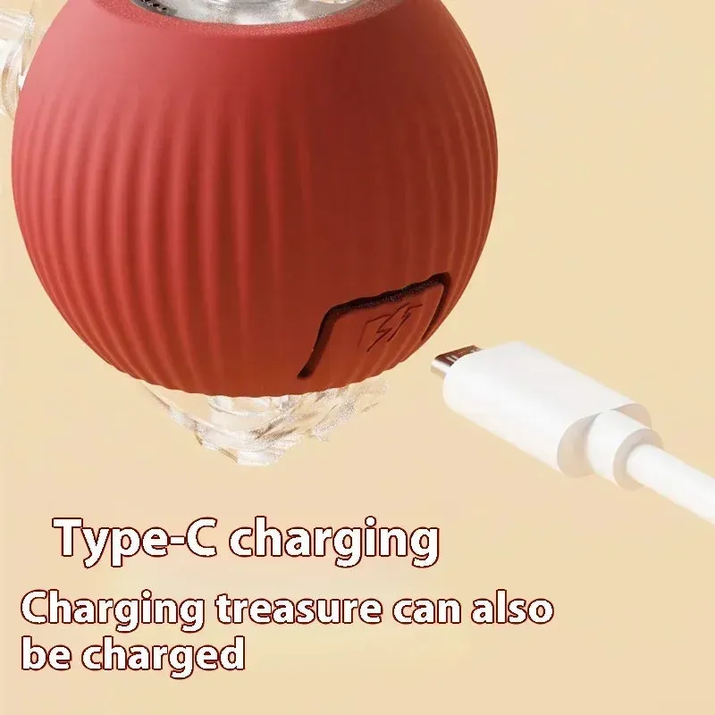 Automated Cat Fun: Interactive Rolling Ball Toy