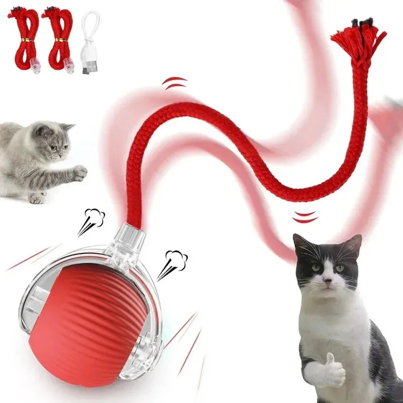 Automated Cat Fun: Interactive Rolling Ball Toy