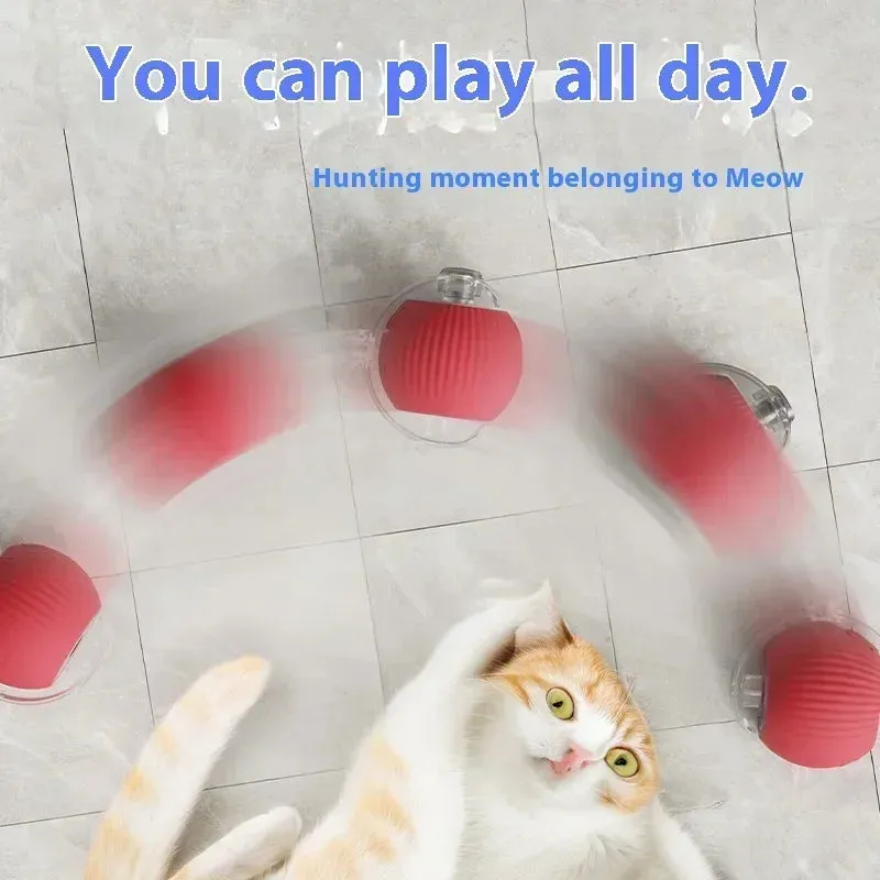 Automated Cat Fun: Interactive Rolling Ball Toy