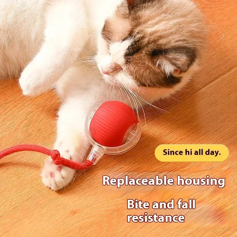 Automated Cat Fun: Interactive Rolling Ball Toy