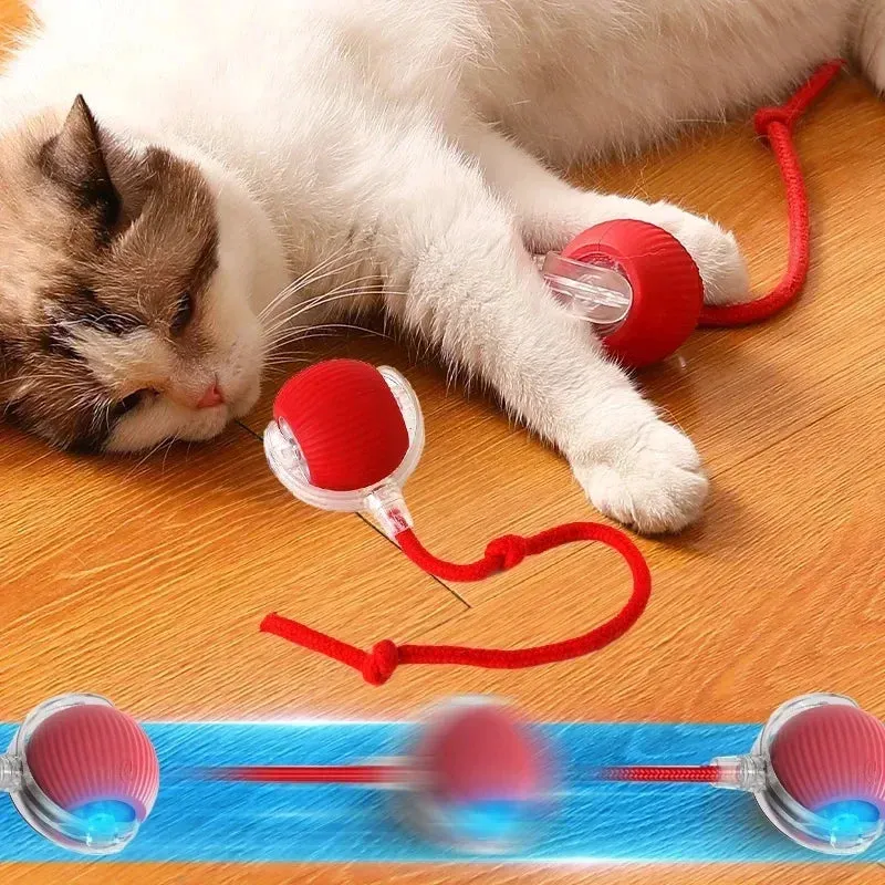 Automated Cat Fun: Interactive Rolling Ball Toy