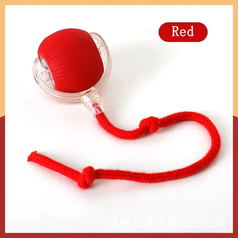 Automated Cat Fun: Interactive Rolling Ball Toy