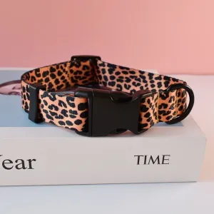 Beagle collars dog leash