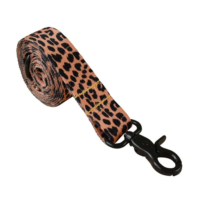 Beagle collars dog leash