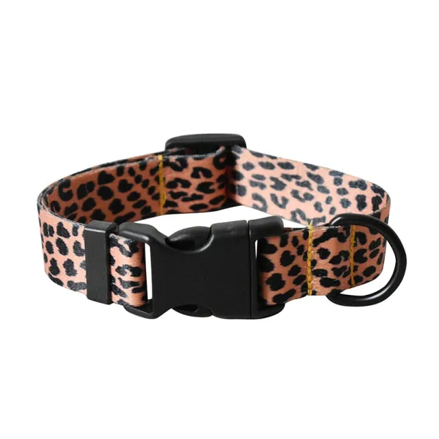 Beagle collars dog leash