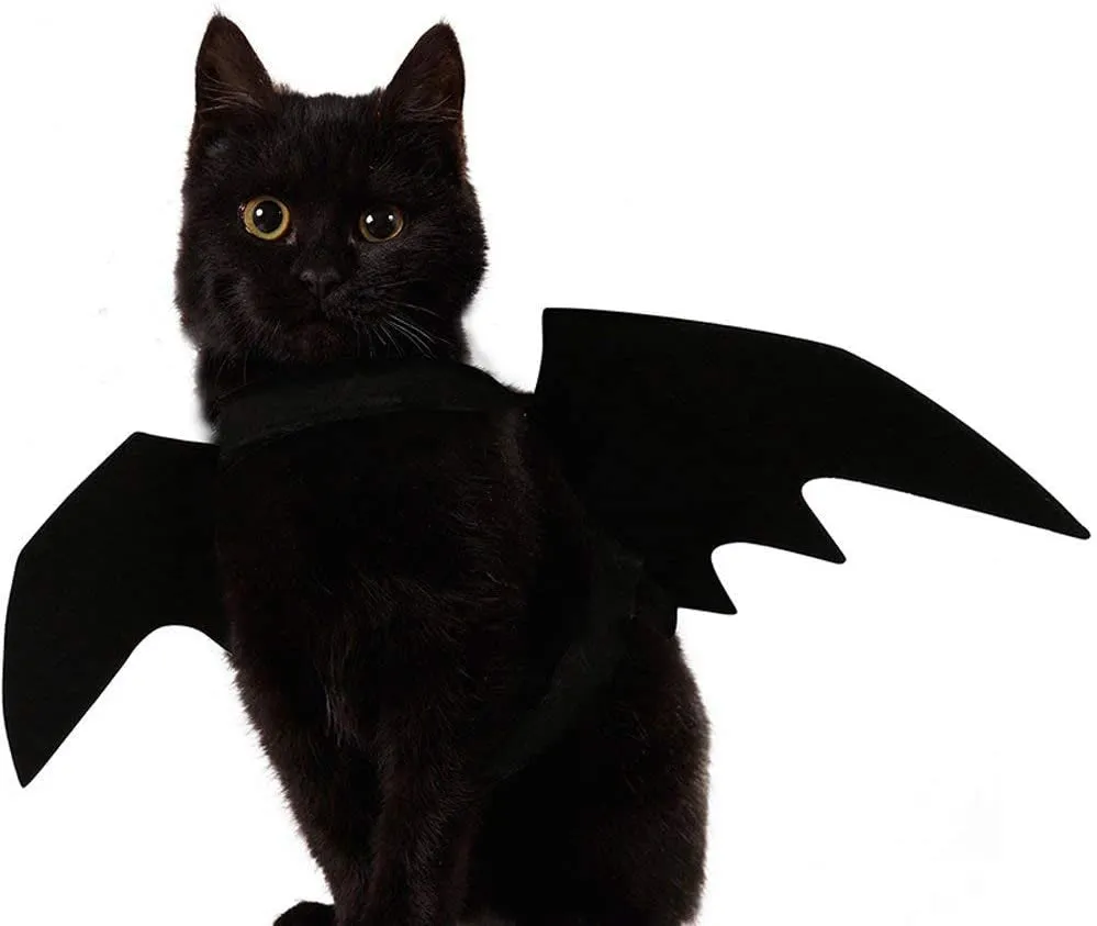 Cat Halloween Costume - Black Cat Bat Wings Cosplay - Pet Costumes Apparel for Cat Small Dogs Puppy for Cat Dress Up Accessories