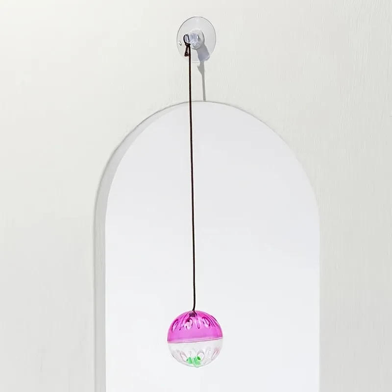 Entertain Your Cat with Lizard Bell Balls and Suction Cups