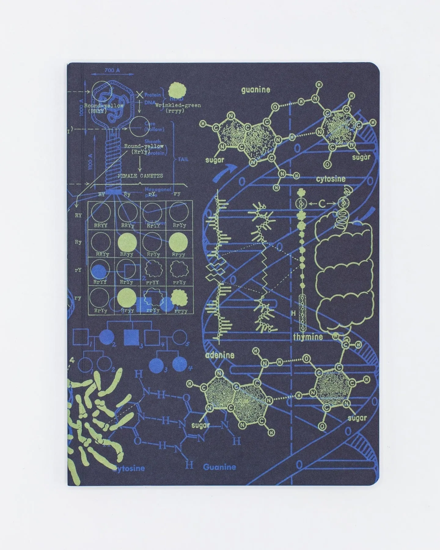 Genetics   DNA Softcover Notebook - Dot Grid