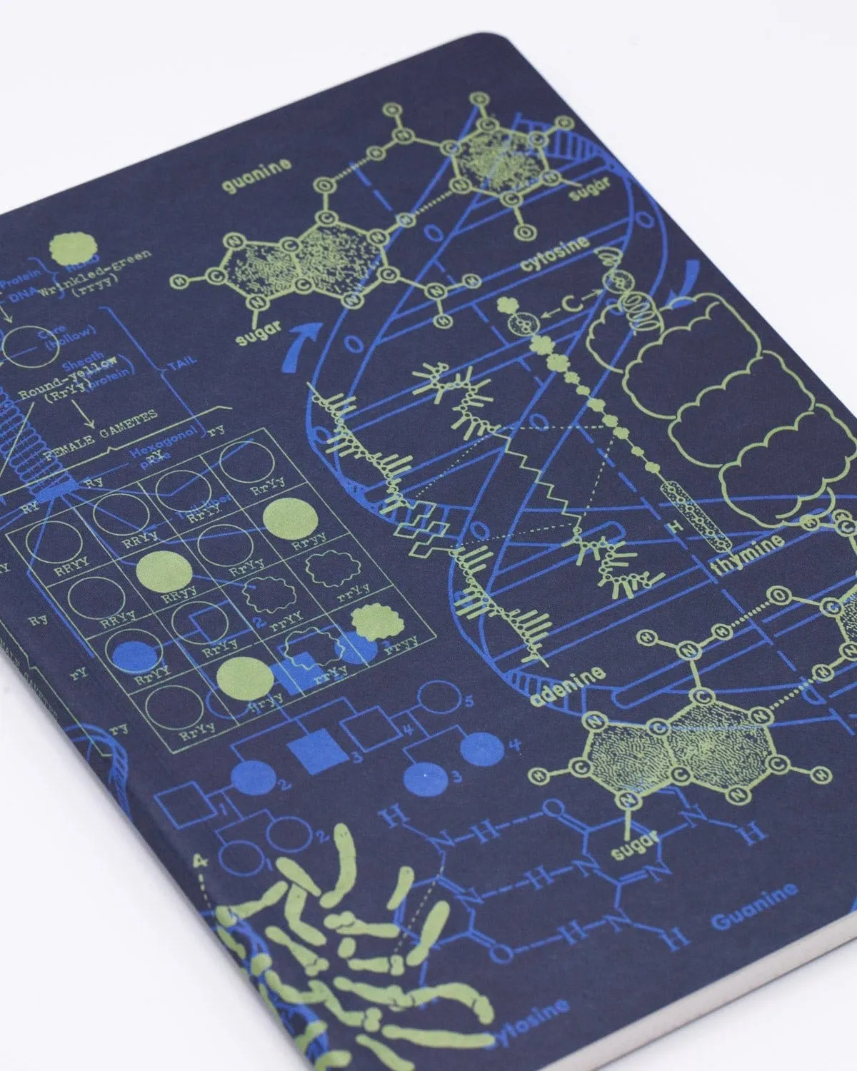 Genetics   DNA Softcover Notebook - Dot Grid