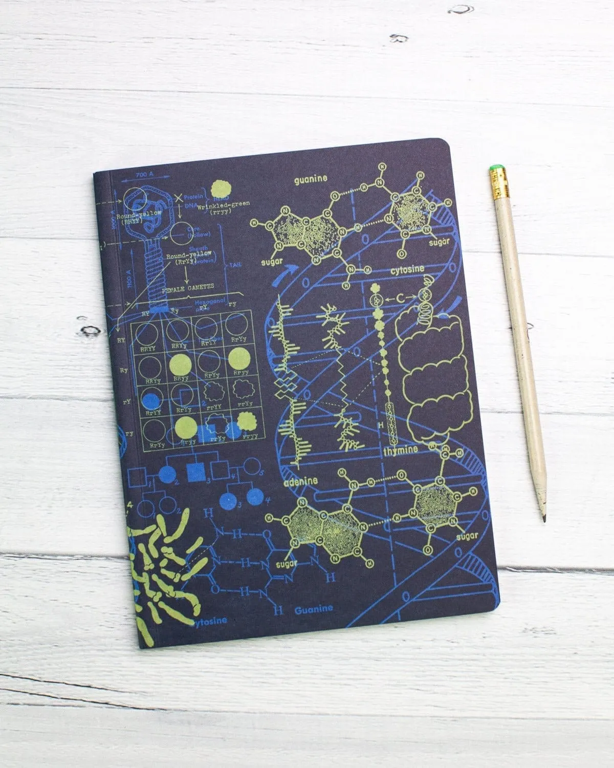 Genetics   DNA Softcover Notebook - Dot Grid