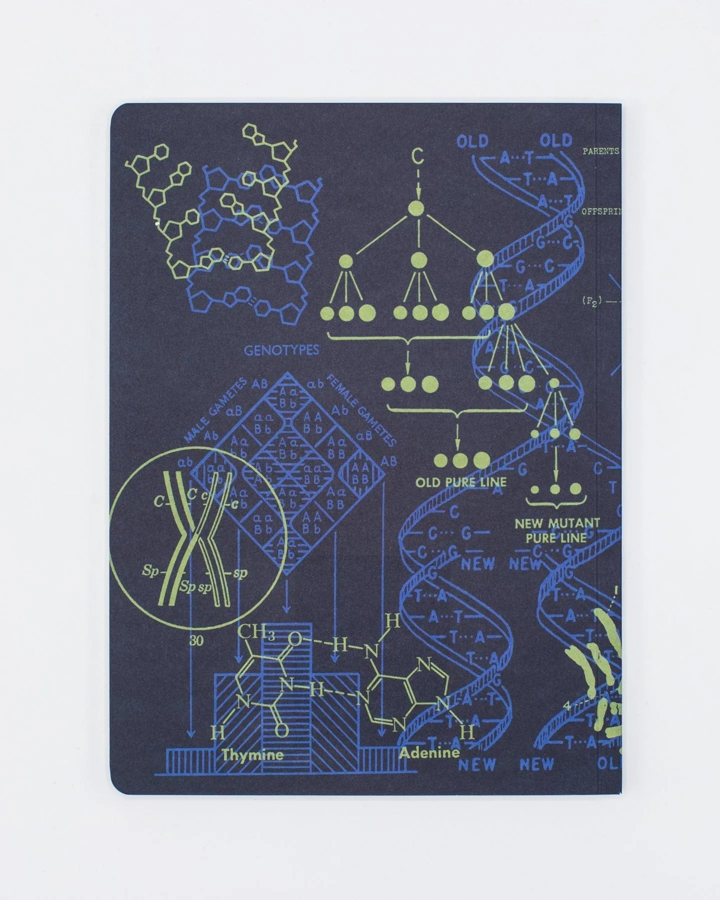 Genetics   DNA Softcover Notebook - Dot Grid