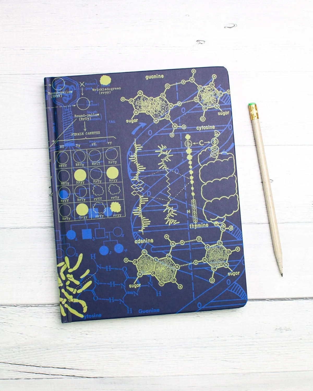 Genetics Hardcover Notebook - Dot Grid