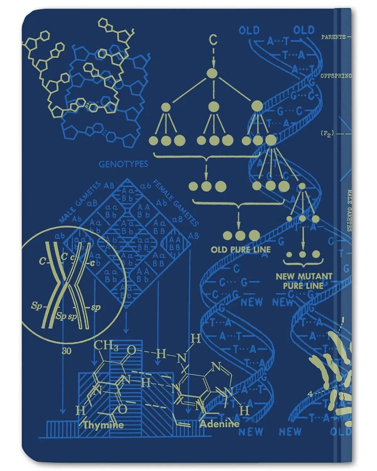Genetics Hardcover Notebook - Dot Grid