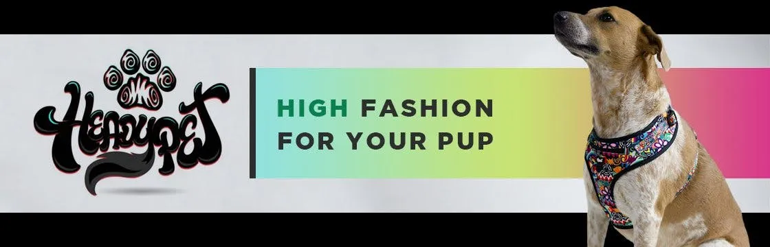 HeadyPet Cat Collar
