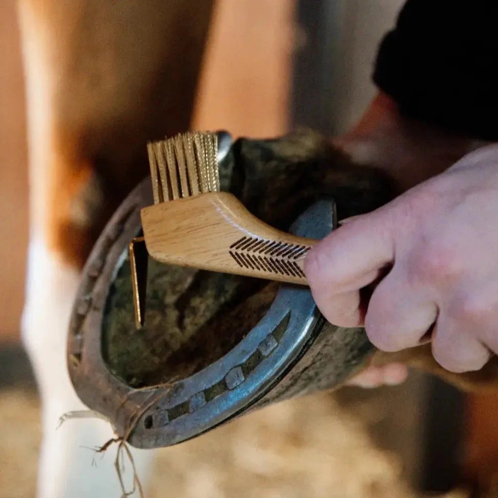 Hoof Pick with Metal Bristles