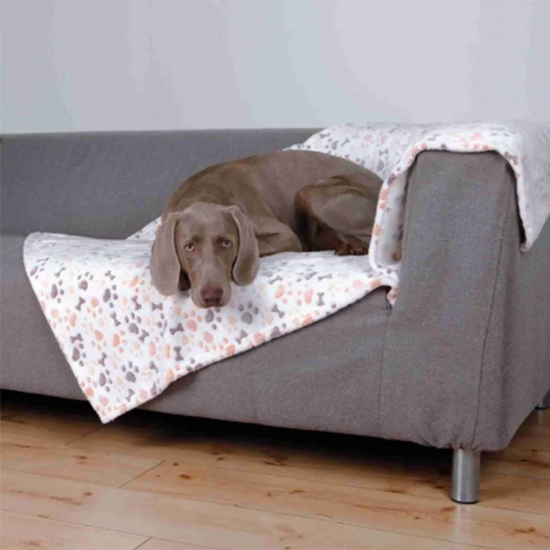 Lingo Fleece Blanket