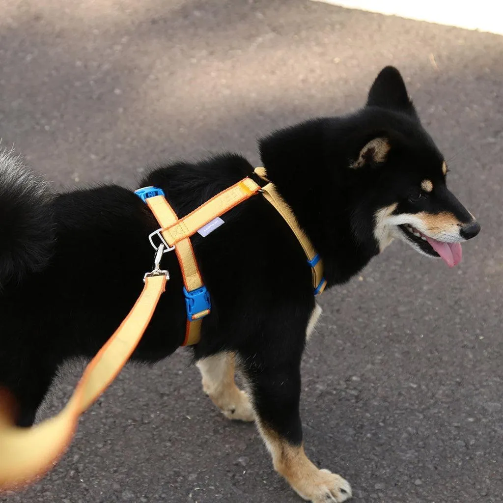 My Fluffy - Two Tone Pet Leash (2.5M)