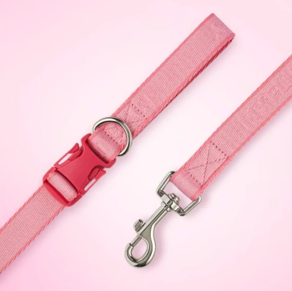 My Fluffy - Two Tone Pet Leash (2.5M)