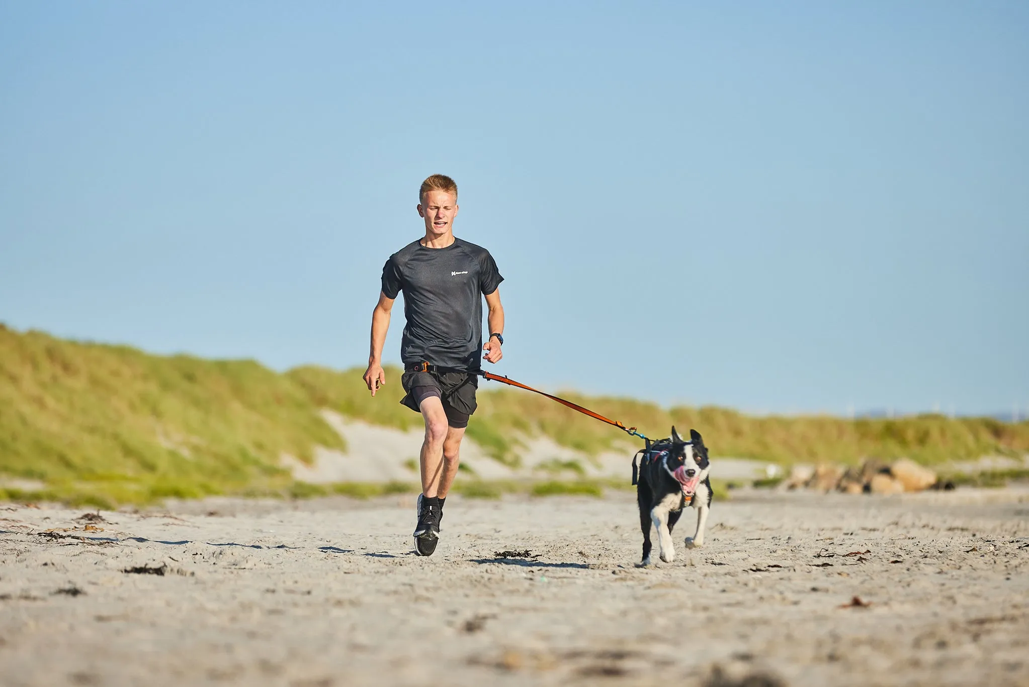 Non-Stop Dog Wear: Bungee Dog Leash