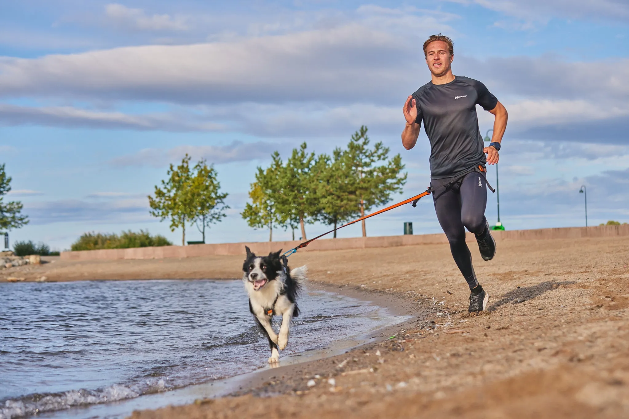 Non-Stop Dog Wear: Bungee Dog Leash