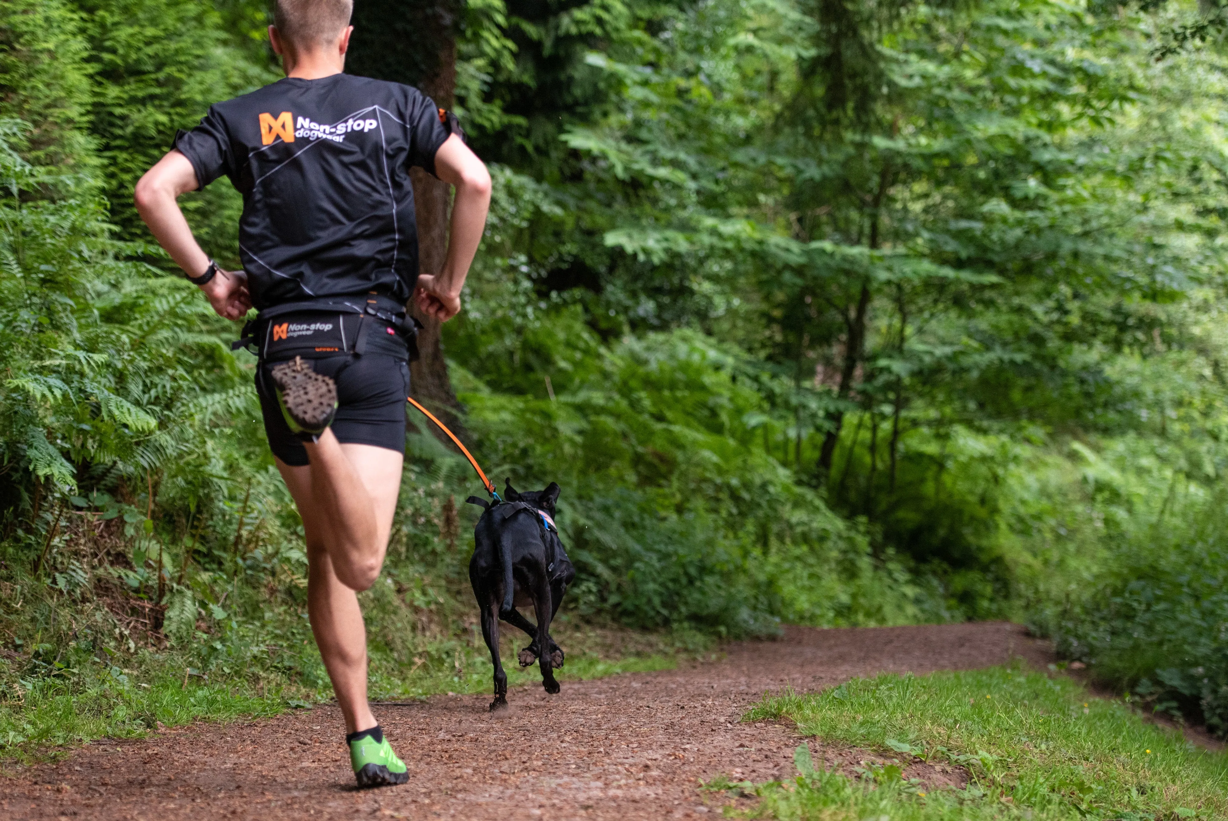 Non-Stop Dog Wear: Bungee Dog Leash
