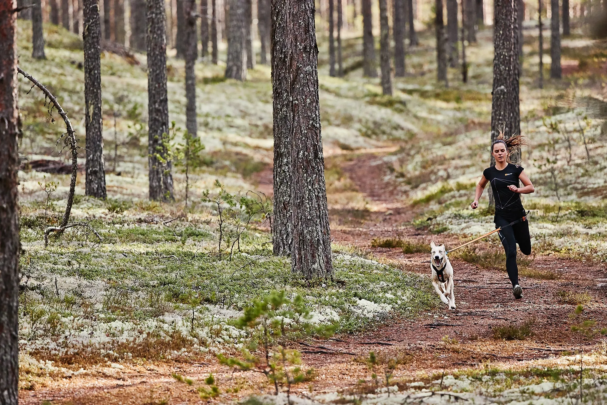 Non-Stop Dog Wear: Bungee Dog Leash
