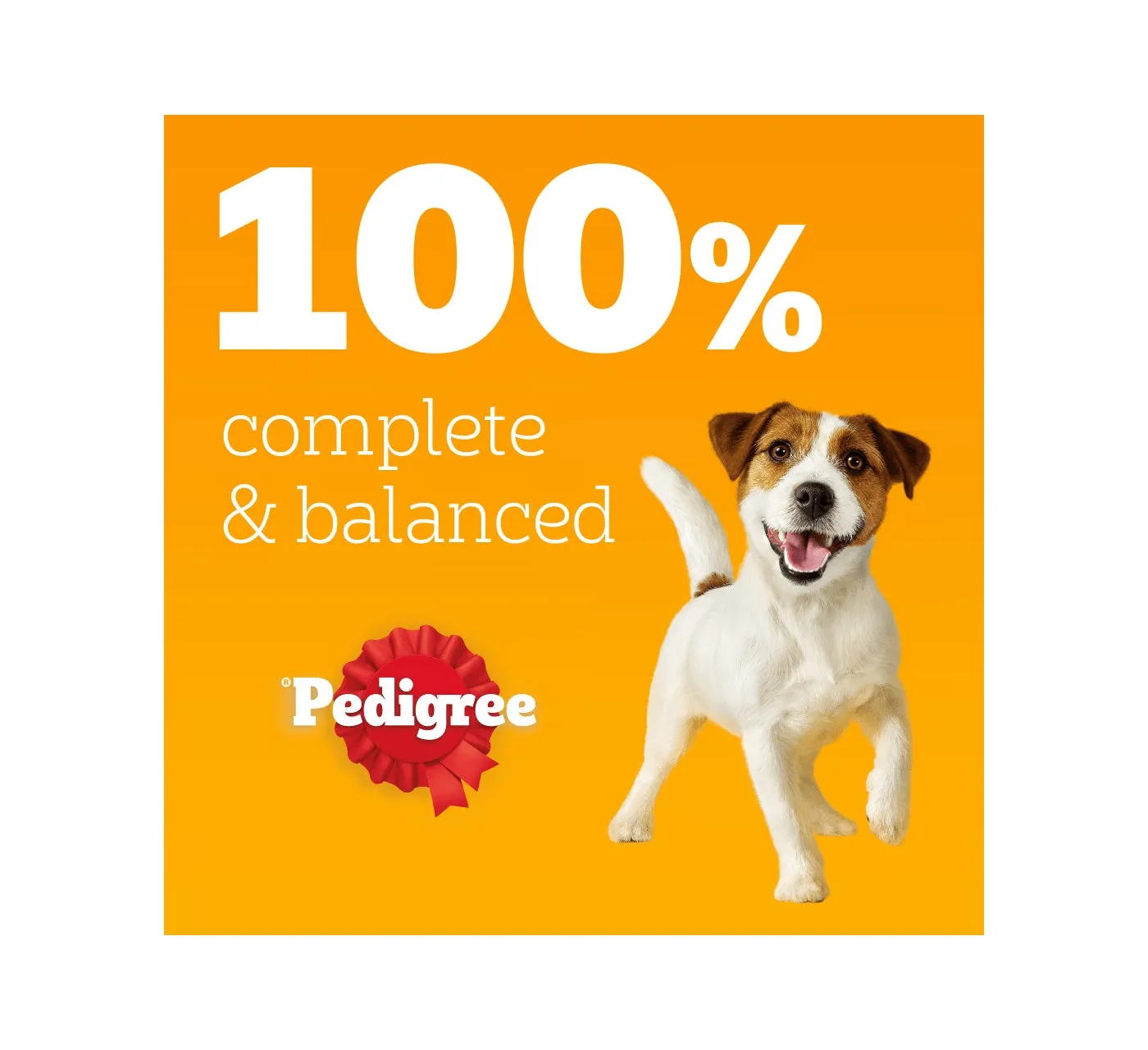 Pedigree - Mixed Selection in Gravy Adult Dog Pouches 12 x 100g