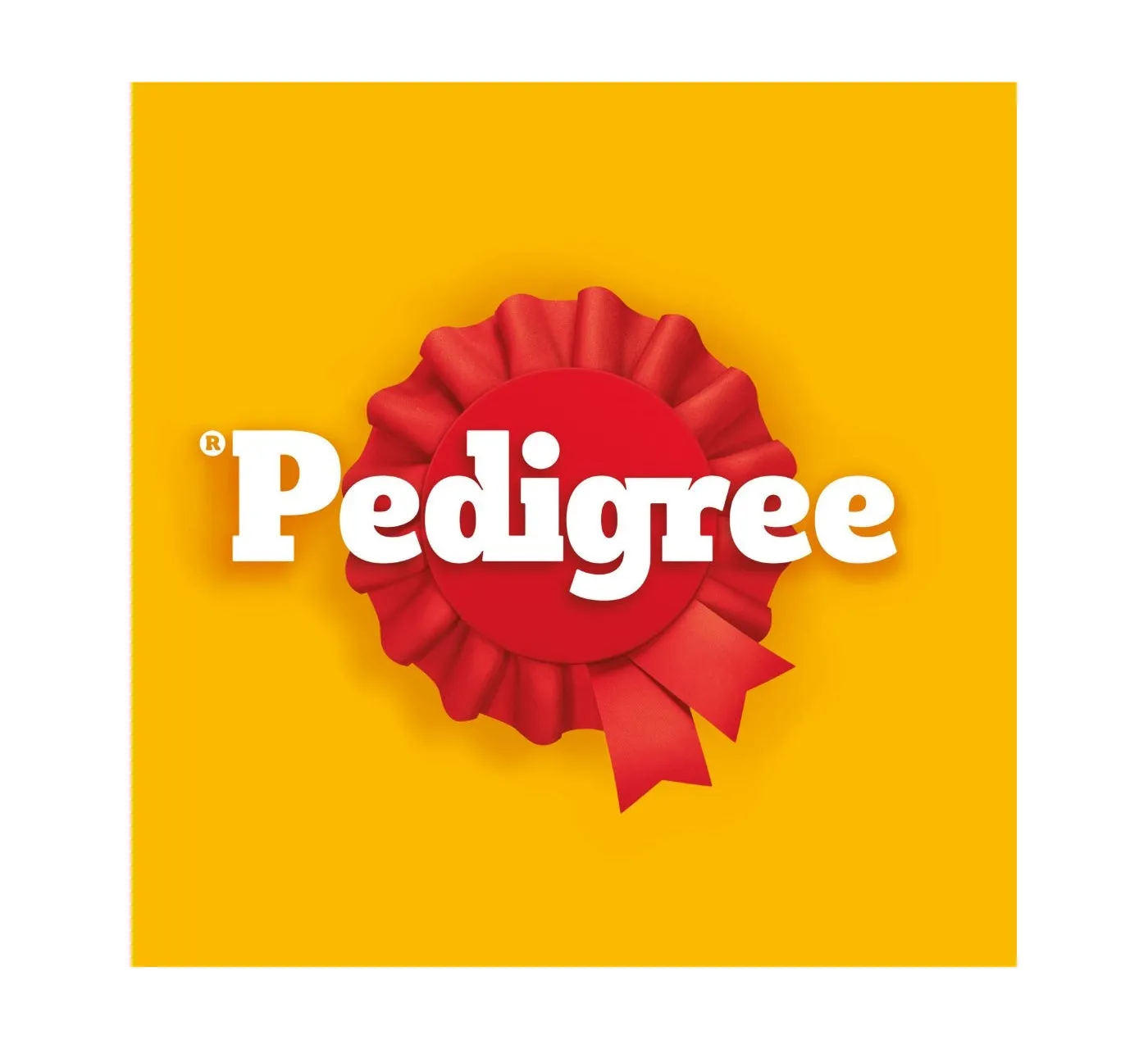 Pedigree - Mixed Selection in Gravy Adult Dog Pouches 12 x 100g