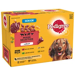 Pedigree Pouch Senior in Jelly 12x100g