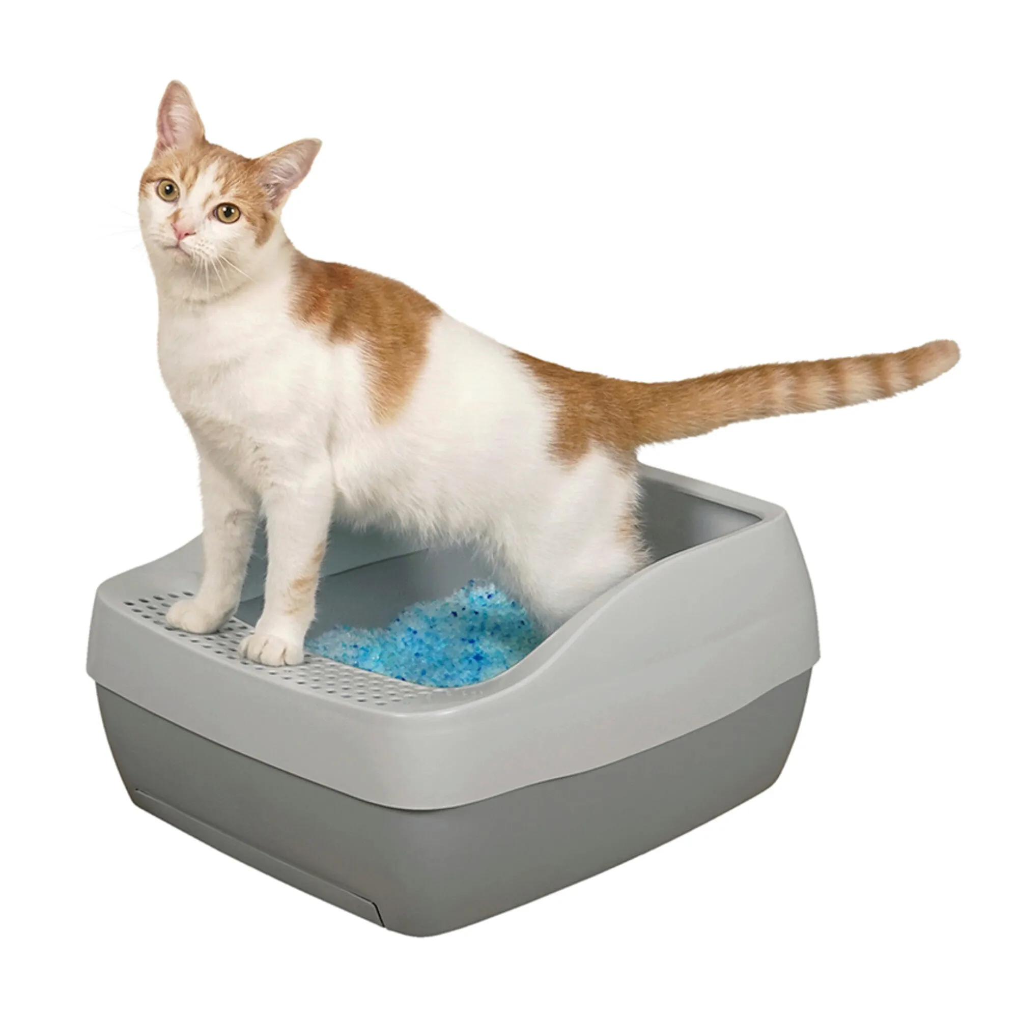 PetSafe Deluxe Crystal Litter Box System