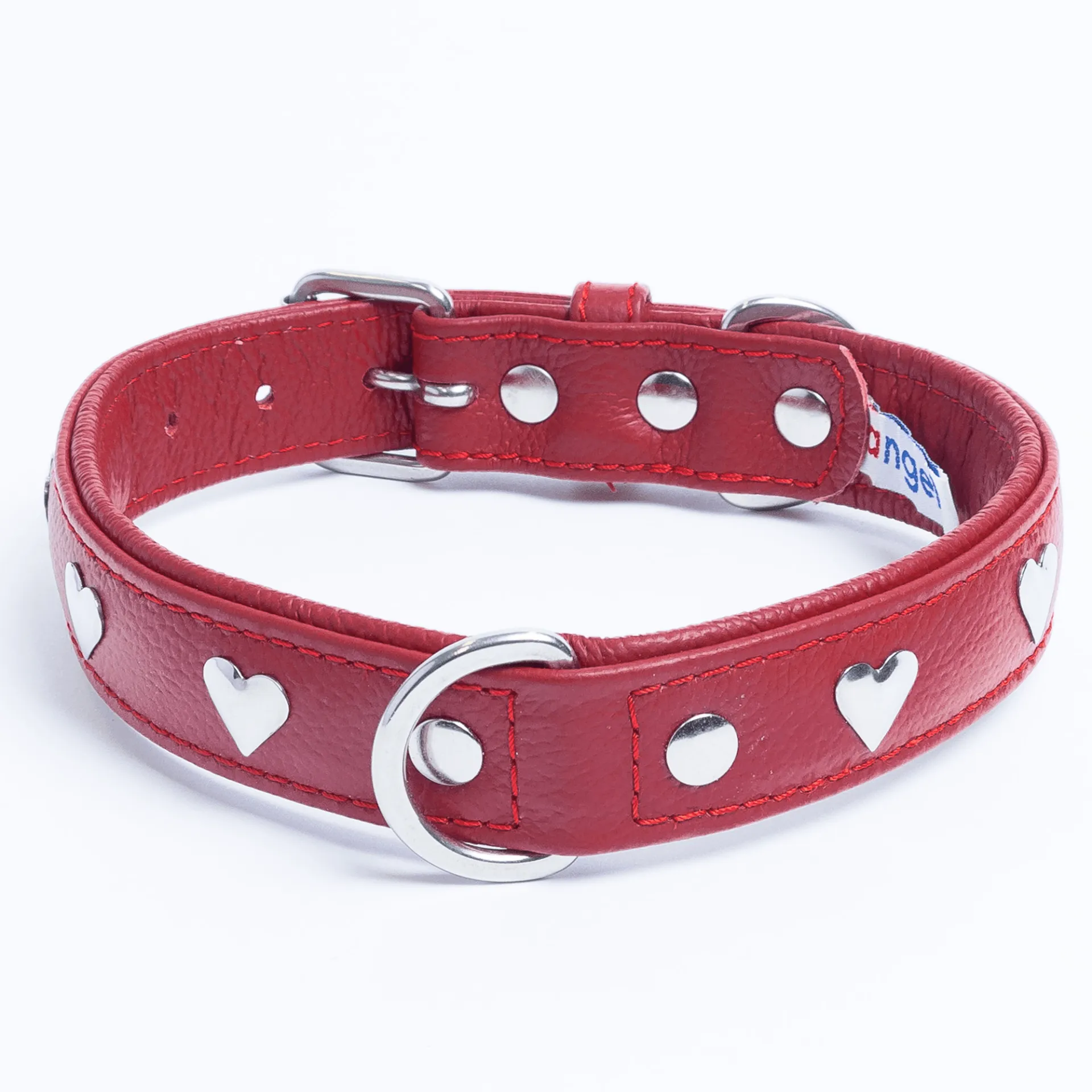 Rotterdam Hearts - Stylish Heart Fittings for Your Beloved Dog