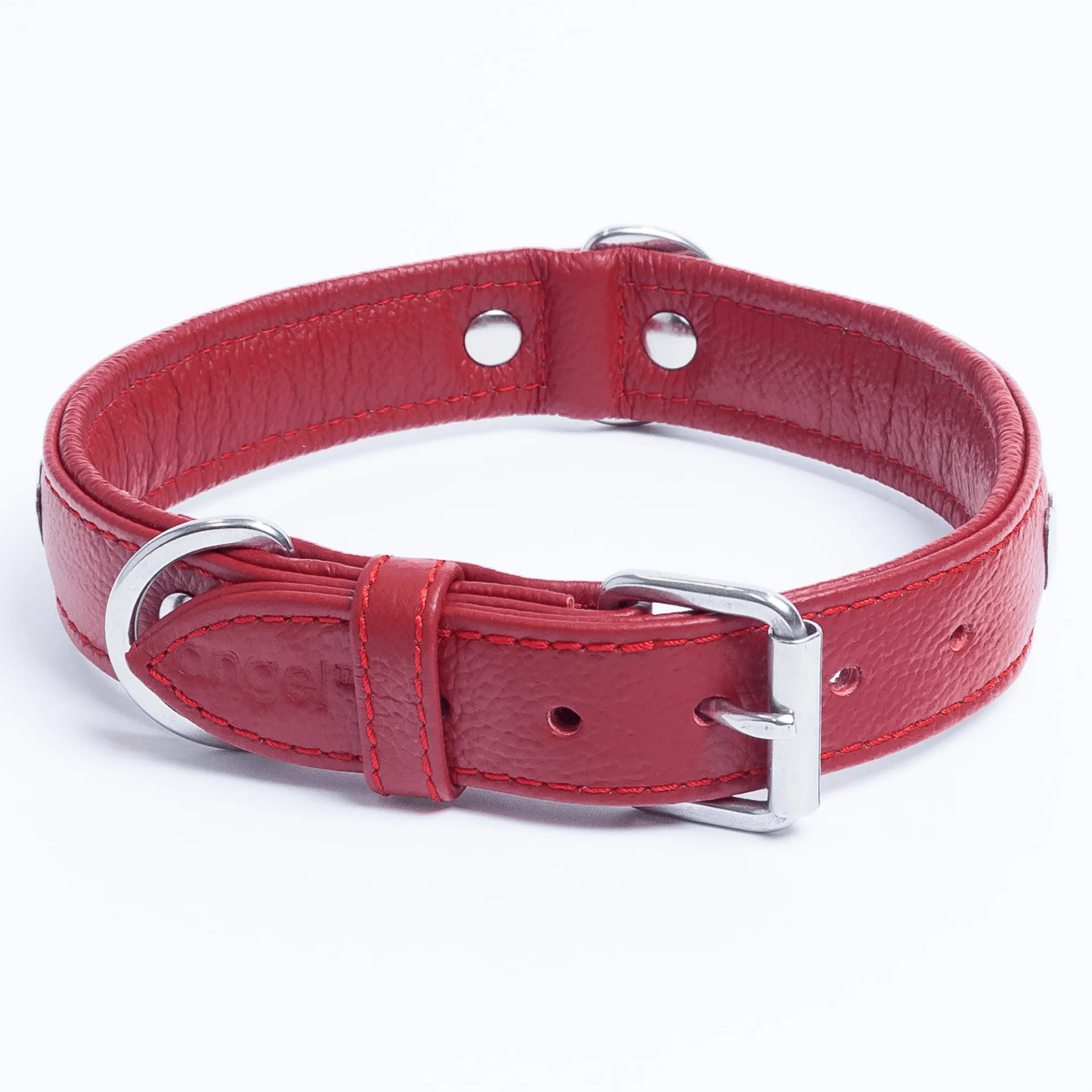Rotterdam Hearts - Stylish Heart Fittings for Your Beloved Dog