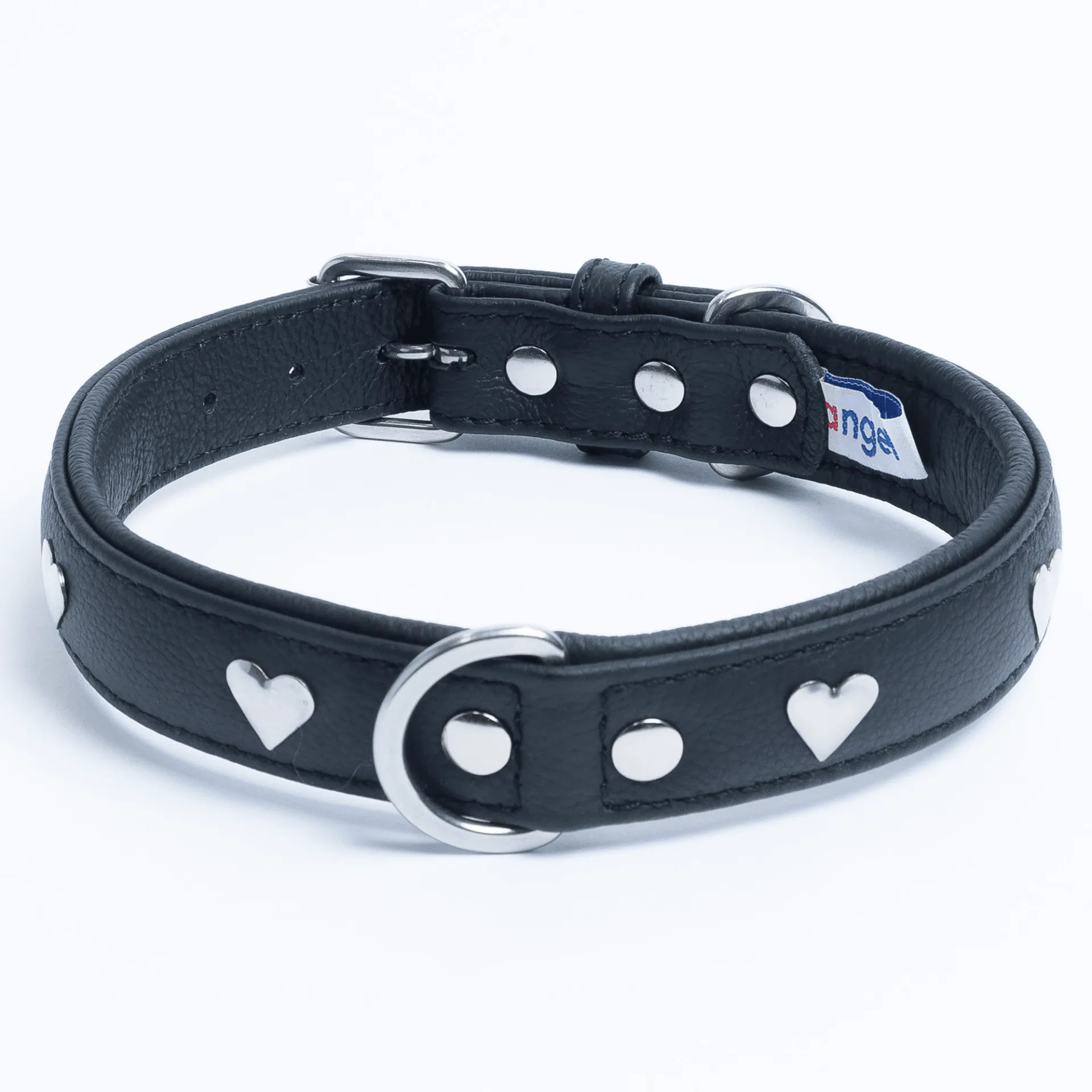 Rotterdam Hearts - Stylish Heart Fittings for Your Beloved Dog