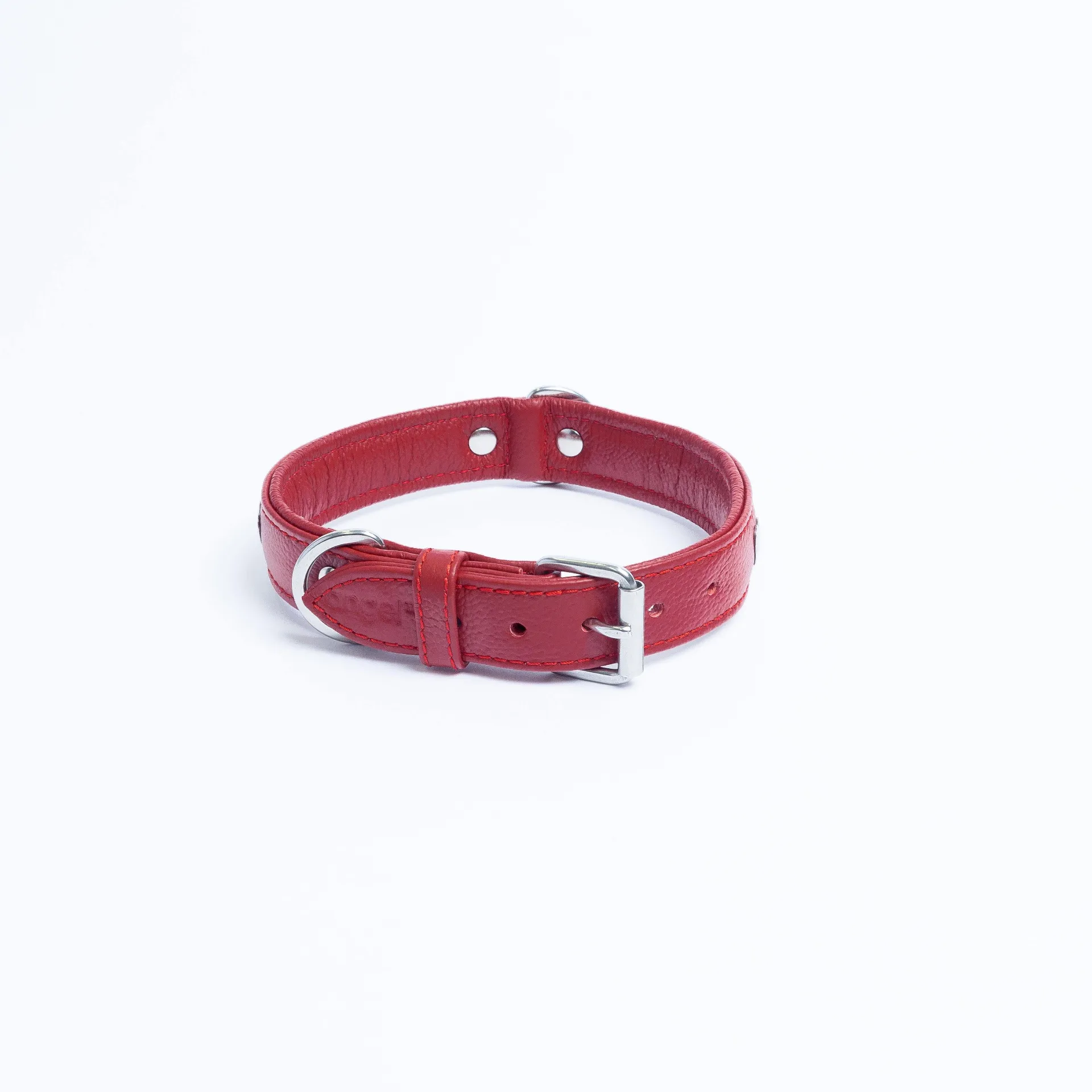 Rotterdam Hearts - Stylish Heart Fittings for Your Beloved Dog