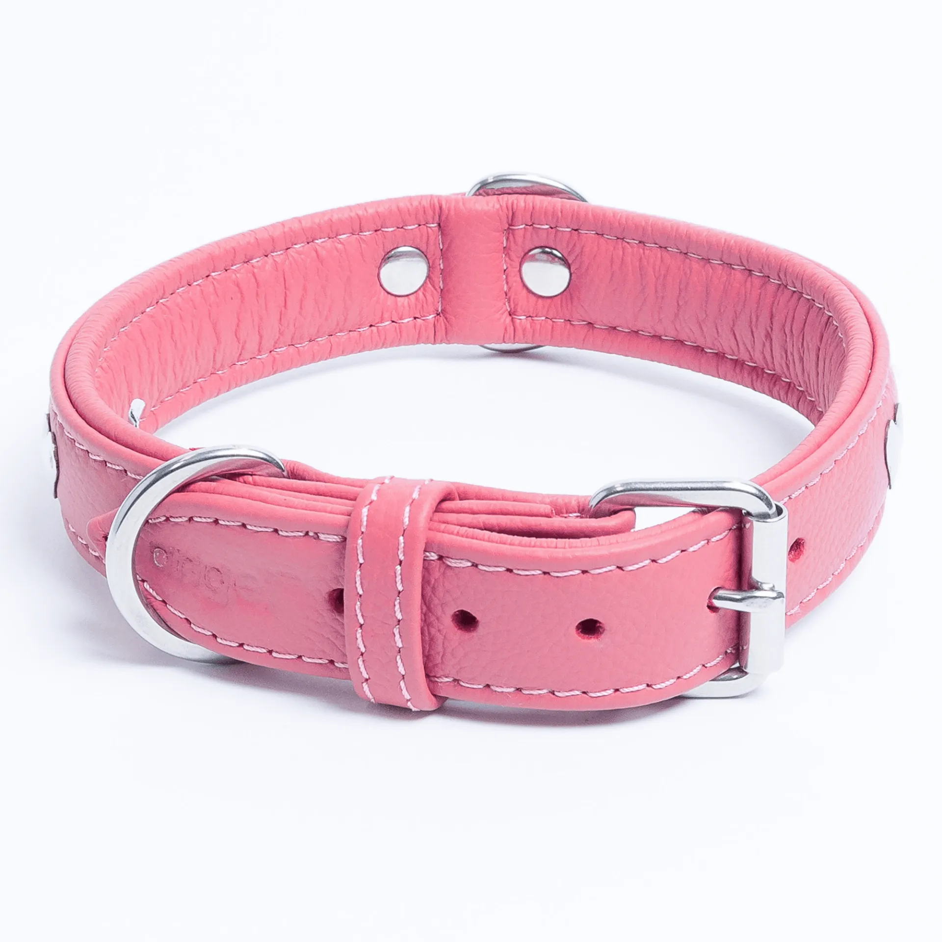 Rotterdam Hearts - Stylish Heart Fittings for Your Beloved Dog