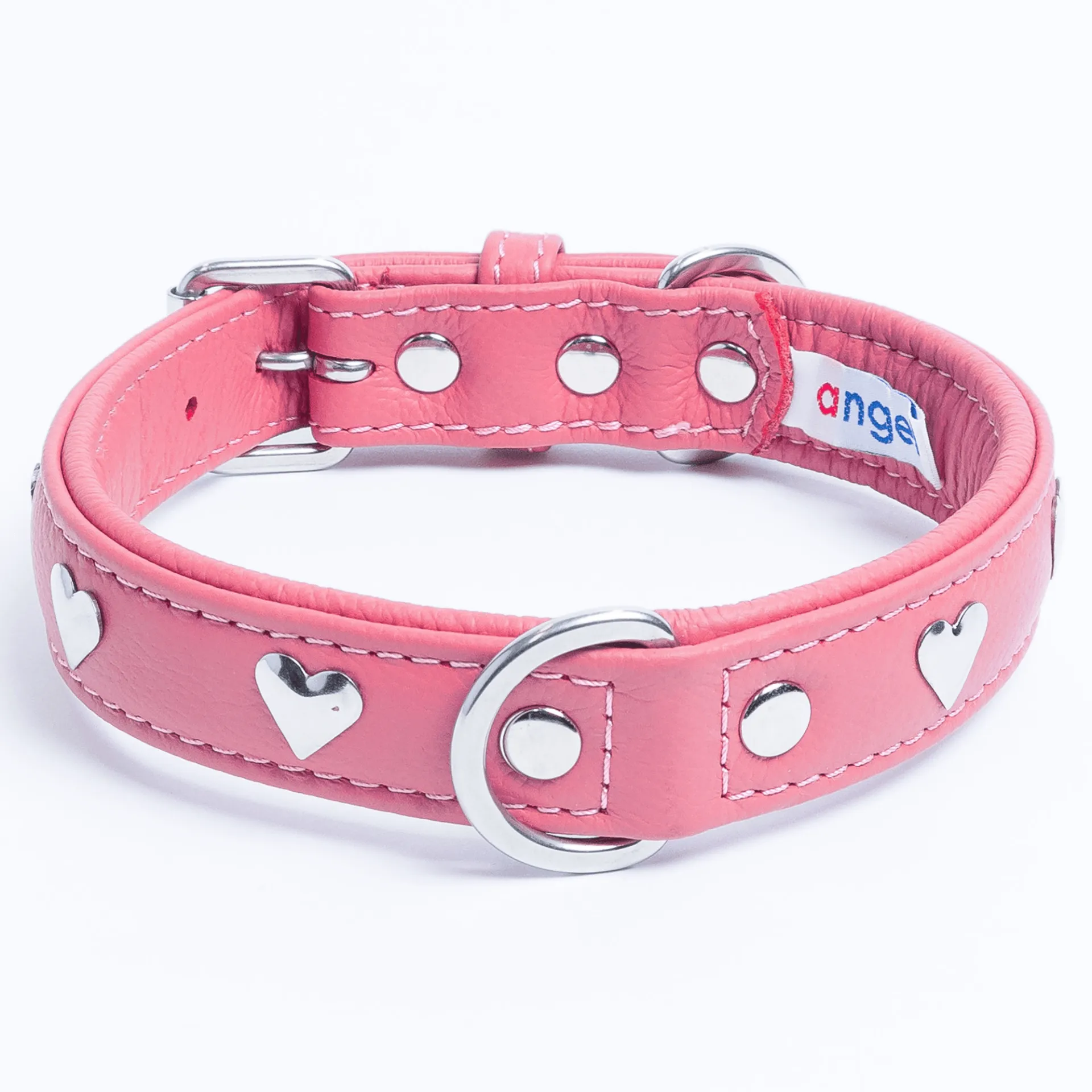 Rotterdam Hearts - Stylish Heart Fittings for Your Beloved Dog
