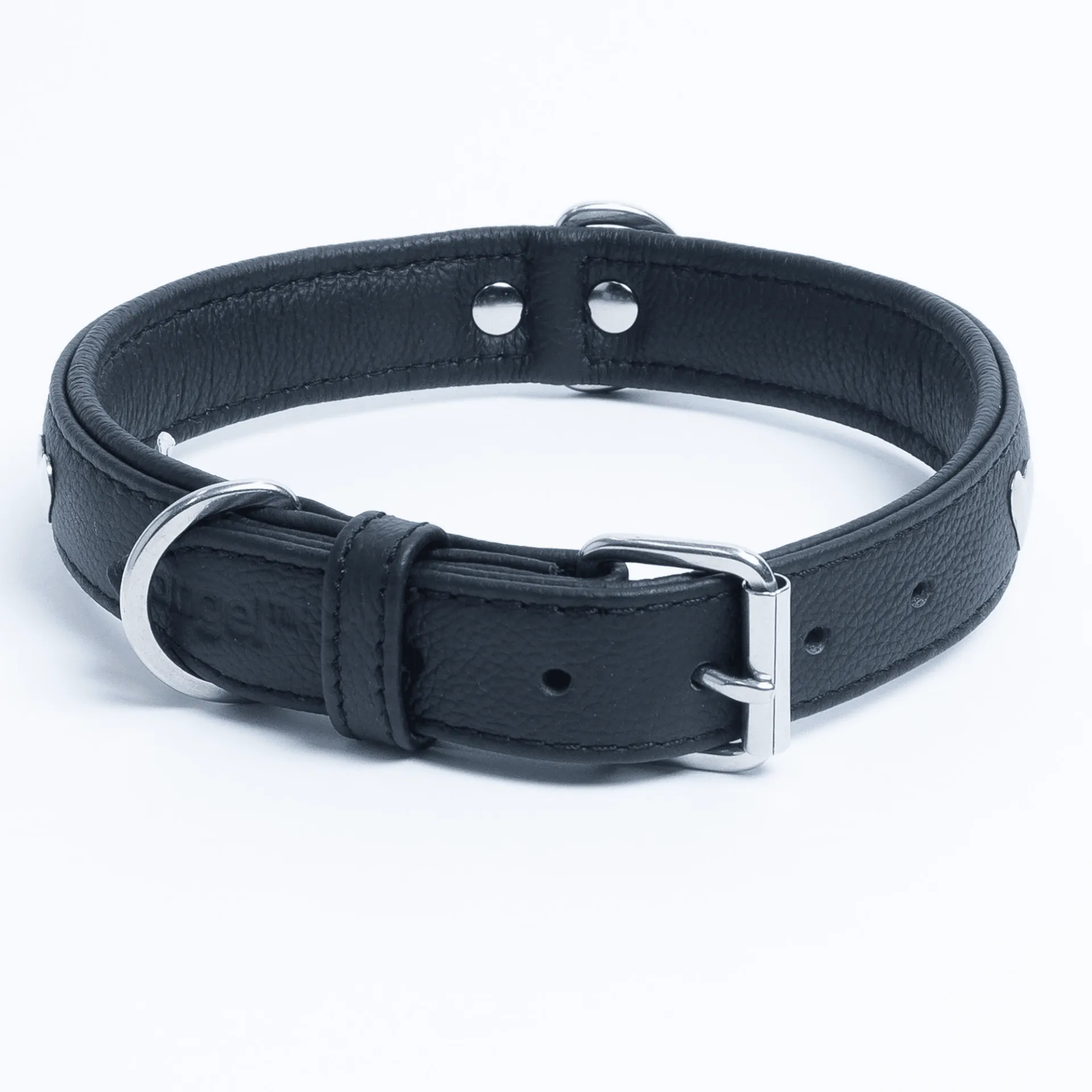 Rotterdam Hearts - Stylish Heart Fittings for Your Beloved Dog