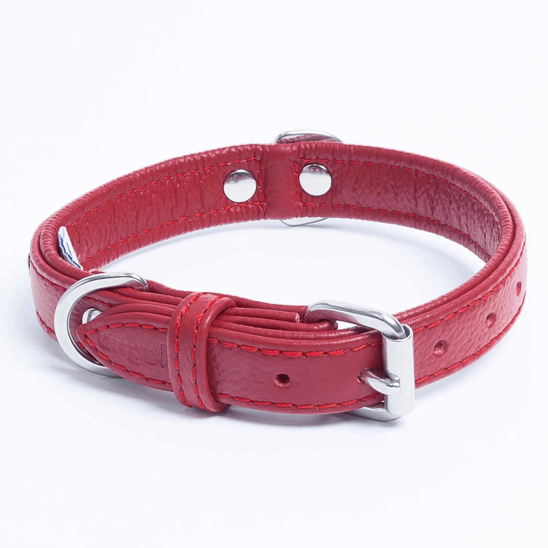 Rotterdam Hearts - Stylish Heart Fittings for Your Beloved Dog
