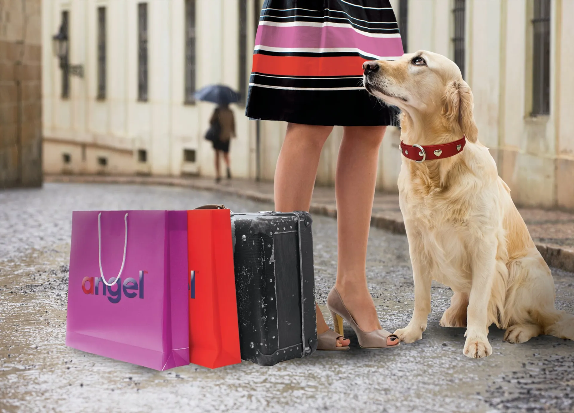 Rotterdam Hearts - Stylish Heart Fittings for Your Beloved Dog