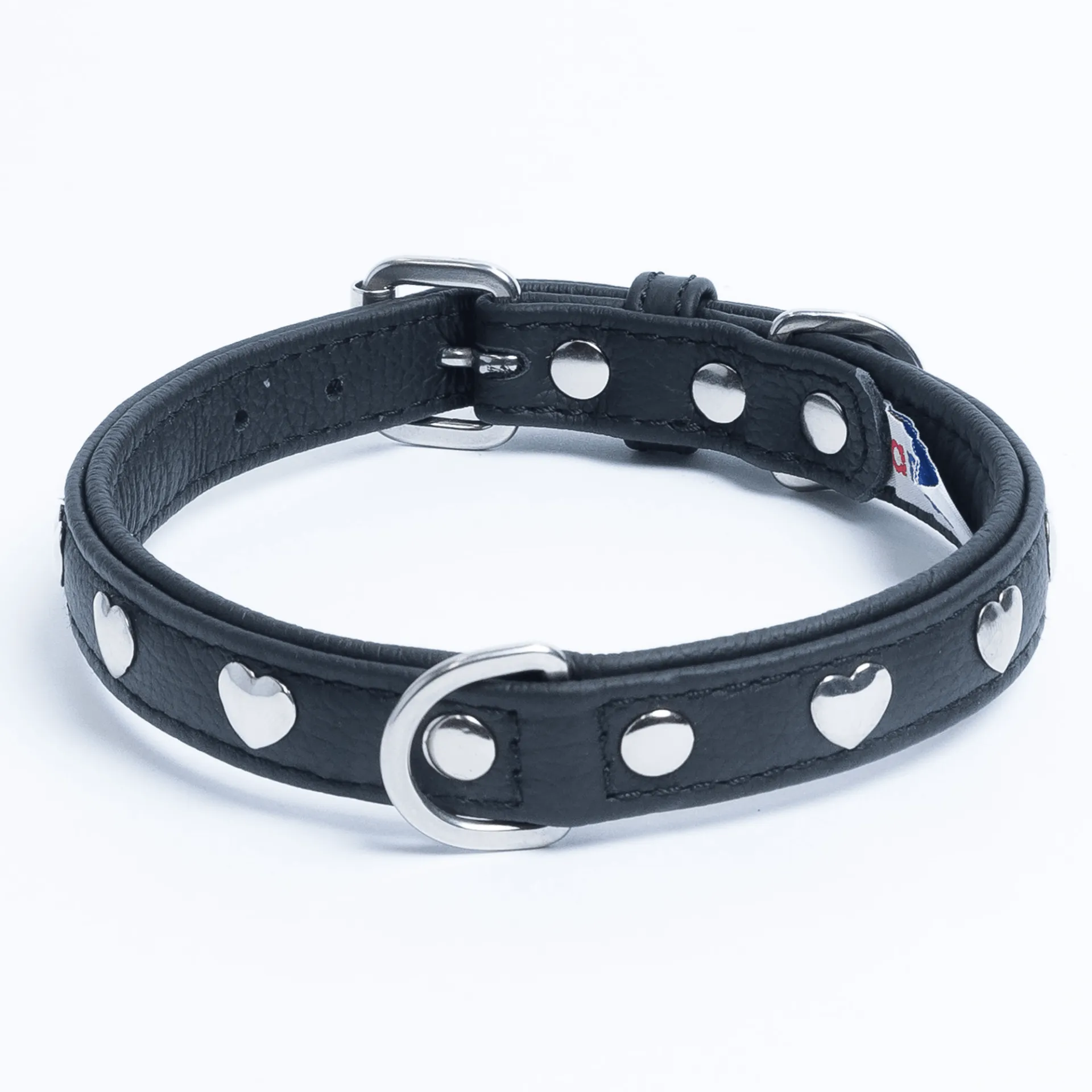 Rotterdam Hearts - Stylish Heart Fittings for Your Beloved Dog