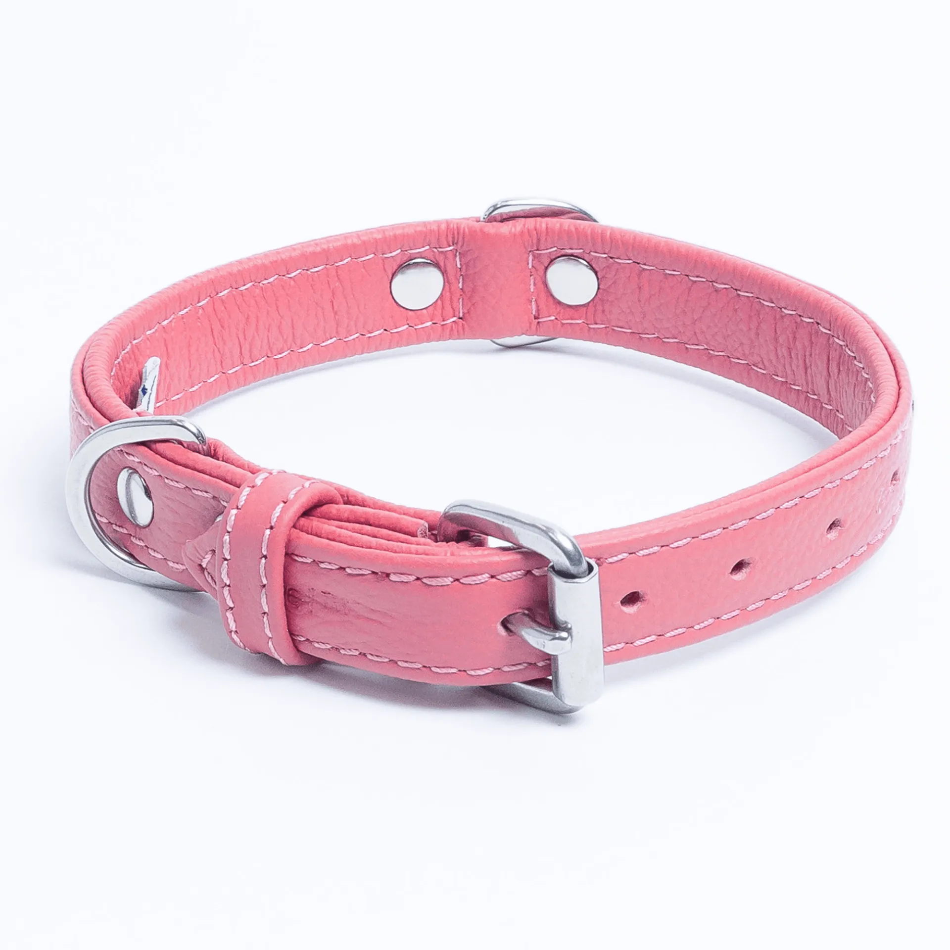 Rotterdam Hearts - Stylish Heart Fittings for Your Beloved Dog