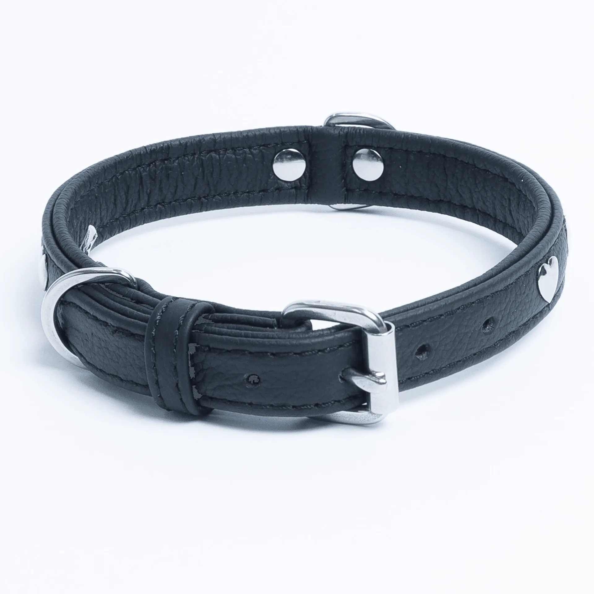 Rotterdam Hearts - Stylish Heart Fittings for Your Beloved Dog