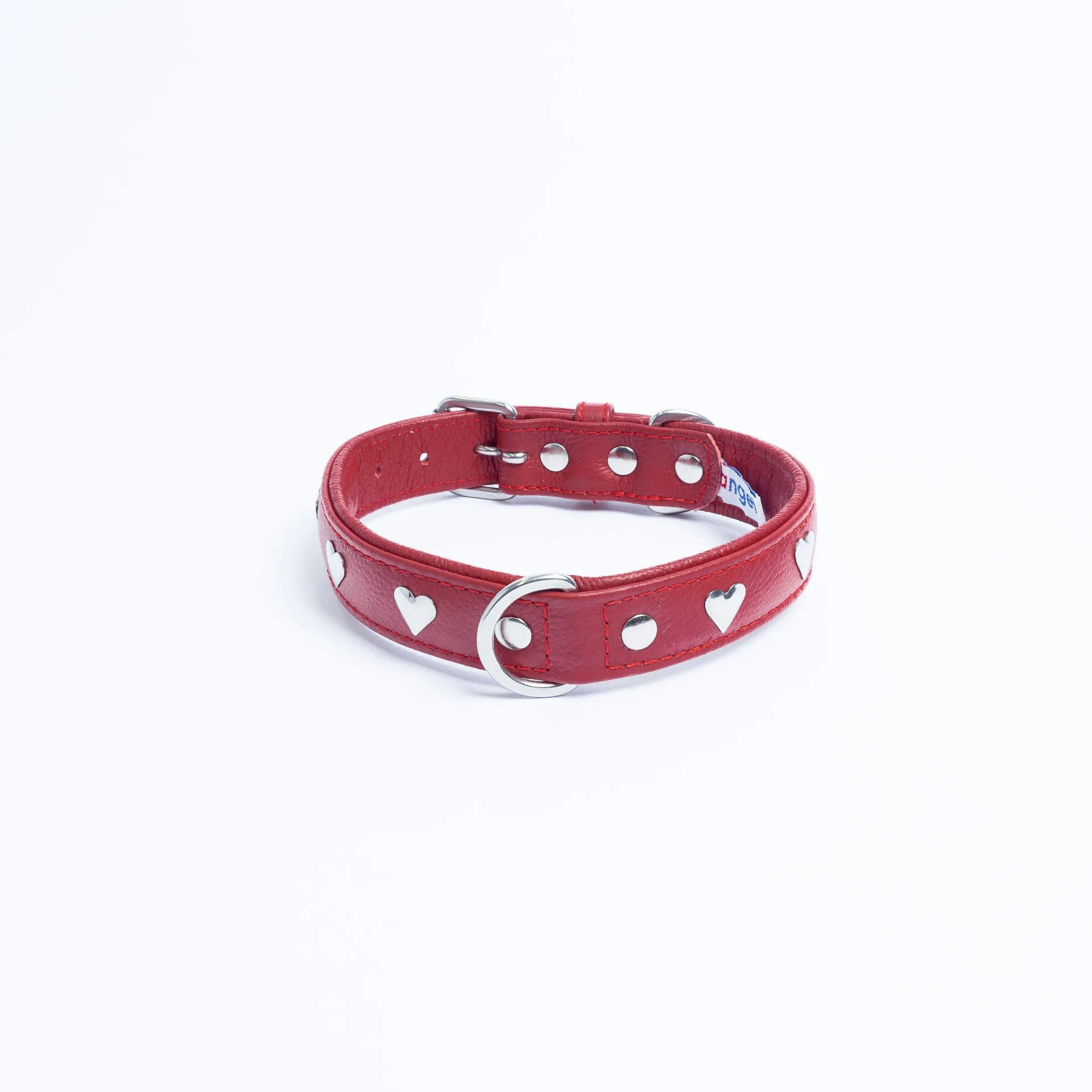 Rotterdam Hearts - Stylish Heart Fittings for Your Beloved Dog