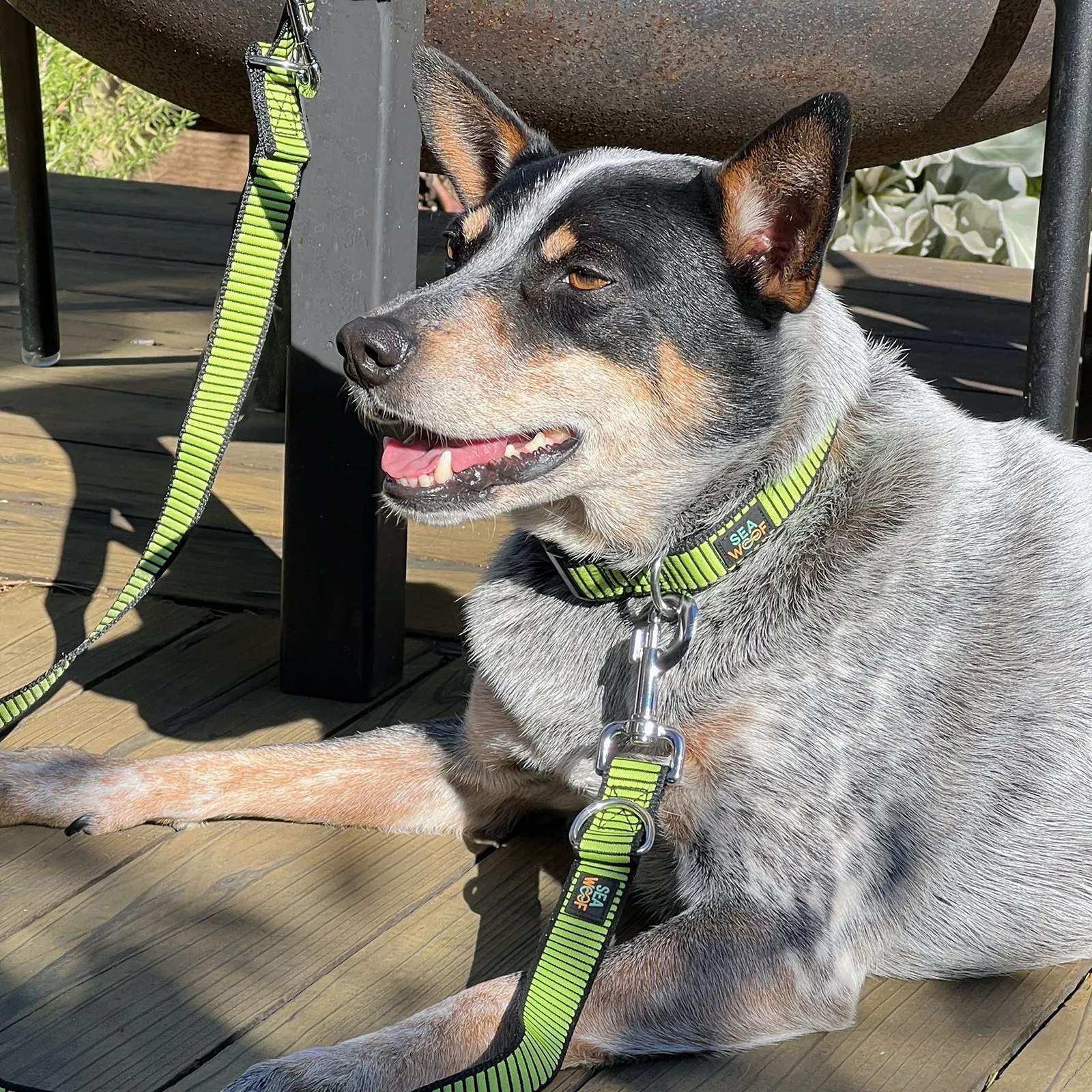 Seawoof Multi-Function Adjustable Leash Silver/Black