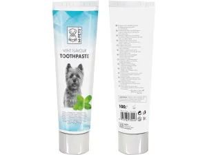 Toothpaste Mint flavour